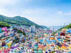 The image for Beginner V Korean TOPIK I Prep: Class #5